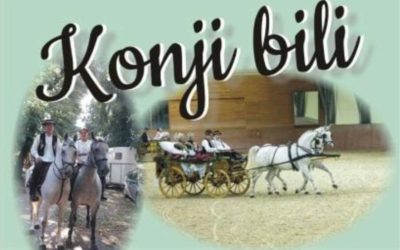 Sljedeći tjedan u Širokom Polju tradicijska smotra “Konji bili”