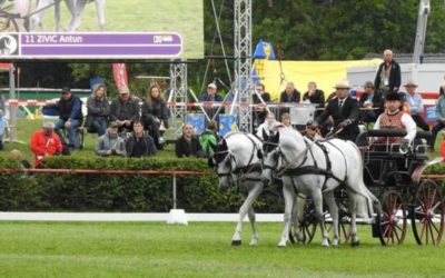Uspjeh đakovačkih lipicanaca na Svjetskom dvoprežnom prvenstvu u Njemačkoj