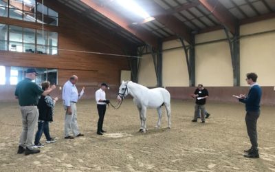 Održan “Judges Clinic 2019” na ergeli Đakovo