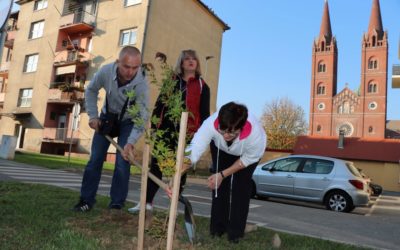Grad Đakovo sudjelovao u akciji „Zasadi drvo, ne budi panj“