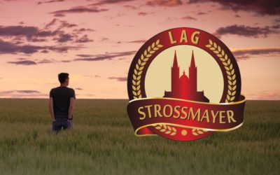 Poziv na dostavu projektnih ideja LAG-u “Strossmayer”