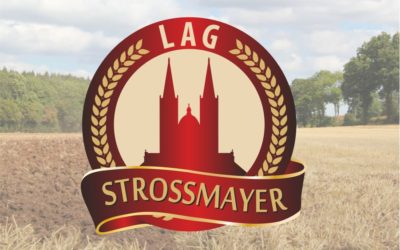 Radionica LAG-a “Strossmayer” o mogućnostima projekta “Naše domaće”