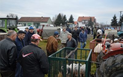 Univerzalov stočni sajam u Piškorevcima do daljnjega se neće održavati!