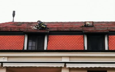 Đakovački vatrogasci spasili rodu s krova samostana Milosrdnih sestara svetog Križa