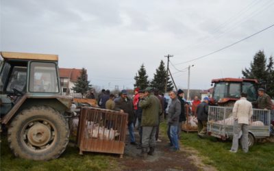 Od Nove godine privremeno bez stočnog sajma