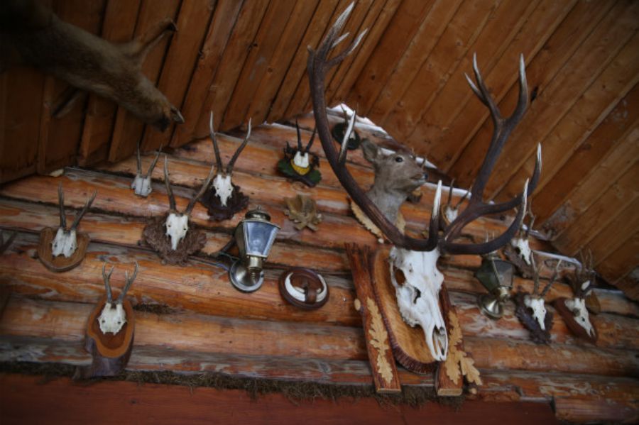 Ukradeno nekoliko trofeja divljači iz Lovačkog društva Đakovo