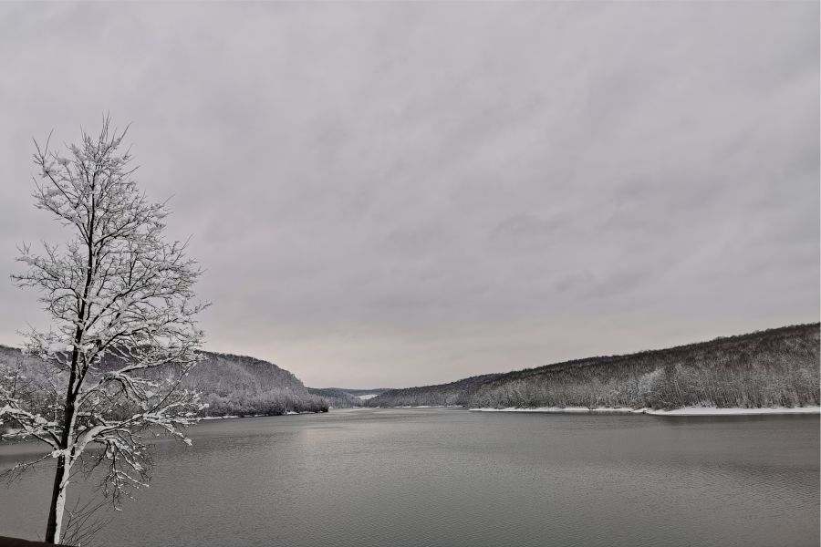 Jezero Borovik – Raj za ljubitelje prirode u srcu Slavonije