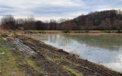 Drenjsko jezero Kosinac postaje prava ribička destinacija