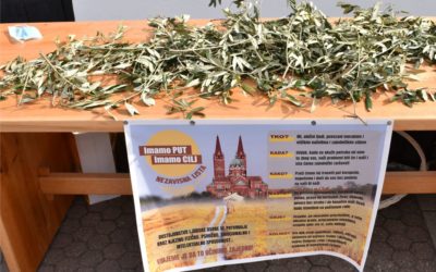 Članovi nezavisne liste “Imamo PUT – Imamo CILJ” dijelili maslinove grančice povodom Cvjetnice