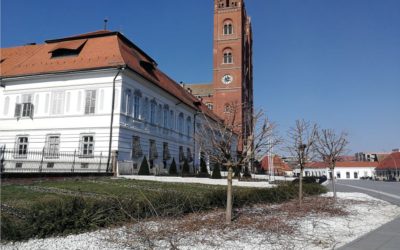 Radnici Univerzala u akciji orezivanja drveća
