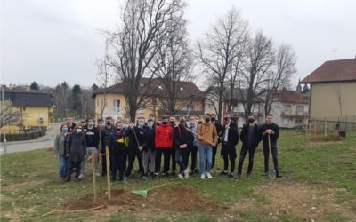 Strukovnjaci i gimnazijalci sudjelovali u akciji “Zasadi stablo, ne budi panj!”