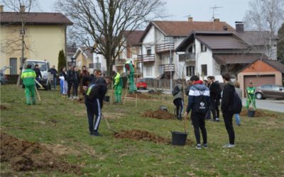 U parku u naselju Vila zasađeno 20 novih stabala