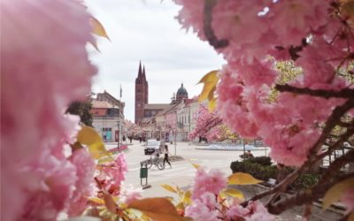 Čestitka gradonačelnika Mandarića povodom Dana grada Đakova