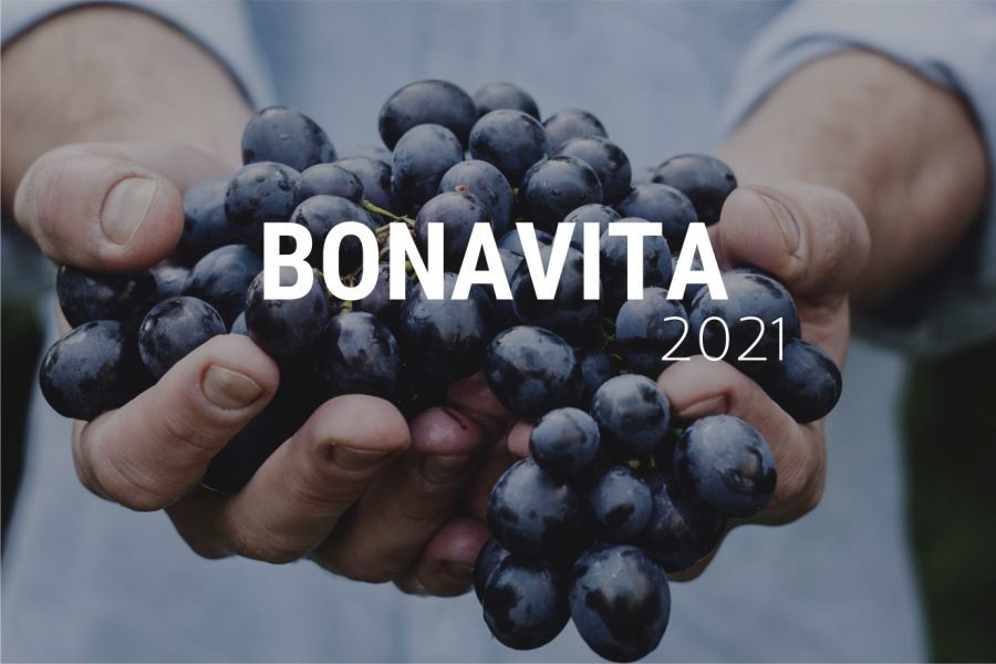 Ovogodišnja Bonavita u znaku Dana otvorenih vrata vinskih podruma