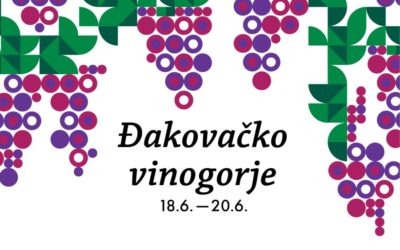 NO Jazz Band i Hojsak & Novosel na Danima otvorenih vinskih podruma Đakovačkog vinogorja
