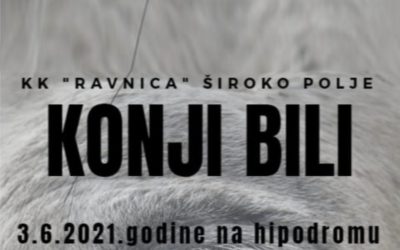 Tradicijska smotra “Konji bili” sutra u Širokom Polju