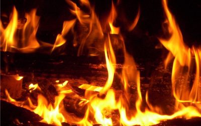 Vatrogasci gasili požar prouzrokovan tosterom