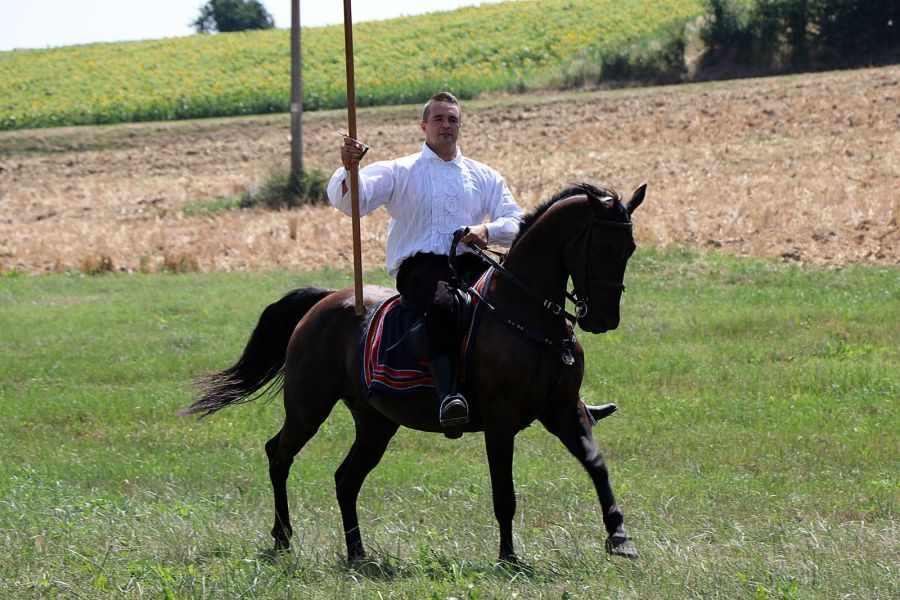 Županjac Tomislav Oršolić pobjednik 10. Šokačke alke