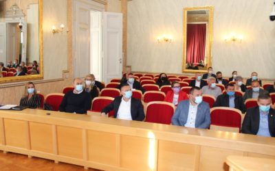Problem komaraca može se riješiti samo zajedničkim pristupom svih općina i gradova