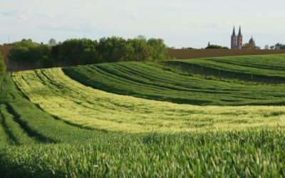 Grad Đakovo objavio Javni poziv za dodjelu potpora iz programa poljoprivrede i ruralnog razvoja