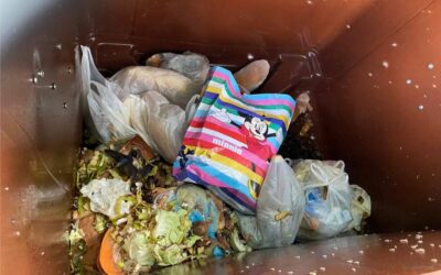 Univerzal najavio sankcije za odlaganje biootpada s plastičnom vrećicom