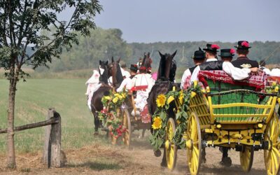 Raskoš tradicije na 13. “Zlatnim jesenima” u Širokom Polju