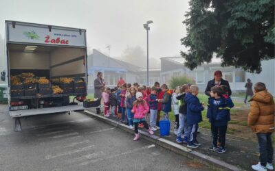 U Đakovo stigla donacija mandarina iz Metkovića