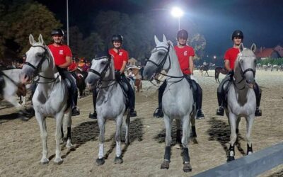 Državna ergela Đakovo sudjeluje u velikoj konjičkoj predstavi u Mađarskoj