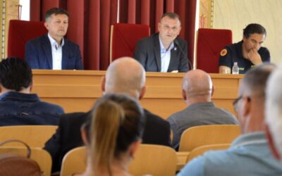 Stožer CZ Osječko-baranjske županije utvrdio dodatne mjere za zaštitu od svinjske kuge
