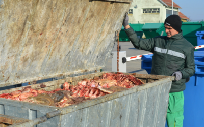 Spremnici za otpad od svinjokolje ponovno na Vitici