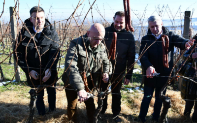 U Mandićevcu će se graditi moderan istraživački centar za razvoj vinogradarstva