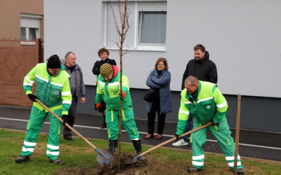 Lehotina ulica u Budrovcima dobiva novi drvored