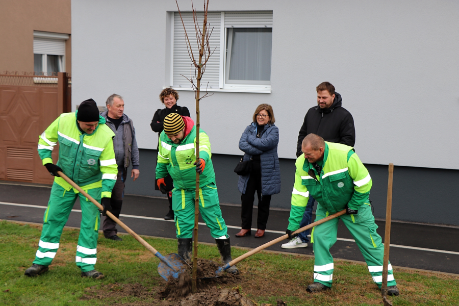 Lehotina ulica u Budrovcima dobiva novi drvored