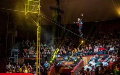 Circus Alexander Picard stiže u Đakovo!