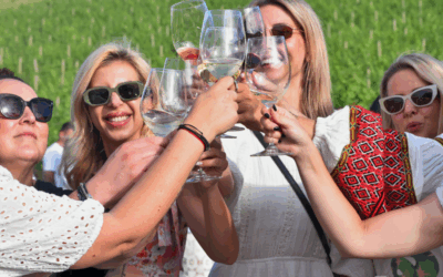 Zalazak u vinogradu: Vinski doživljaj s pogledom koji ostavlja bez daha