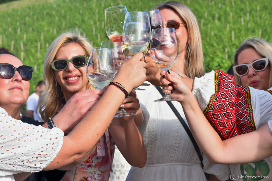 Zalazak u vinogradu 2025_naslovna