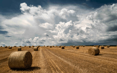 Otvoren natječaj RuralFoto 2025: Zabilježite čudo sela i osvojite nagrade!