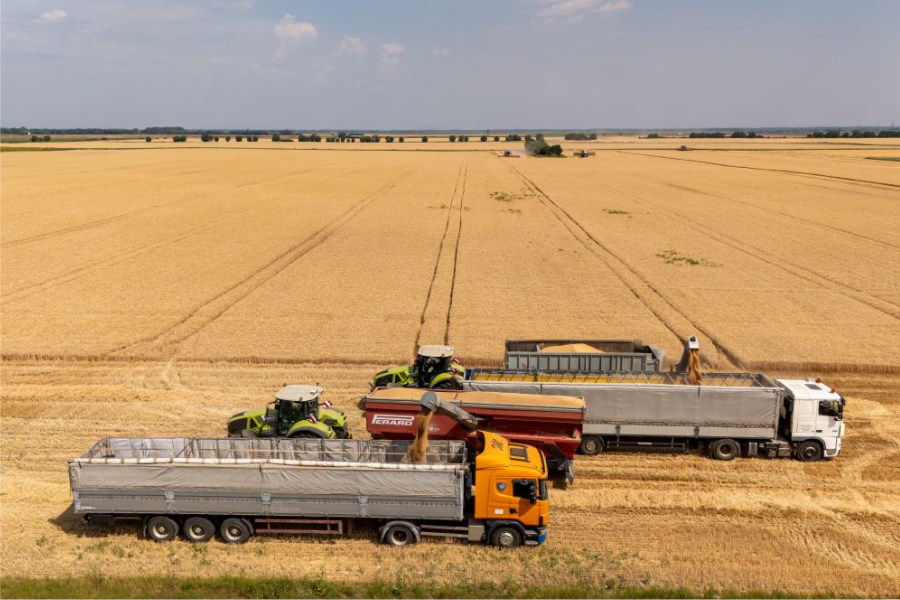 Žetva_Foto_Žito Grupa