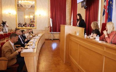 Održan stručni skup s panel raspravom „Zajedno protiv nasilja: Interdisciplinarni pristup u radu sa žrtvama nasilja“