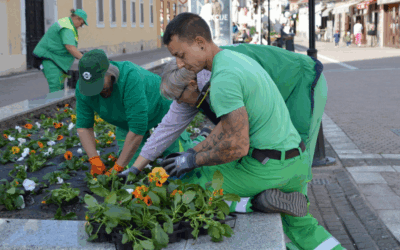 U jesenskoj kolekciji cvijeća više od 25.000 sadnica