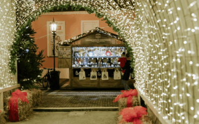 Javni poziv za pružanje usluga u adventskim kućicama