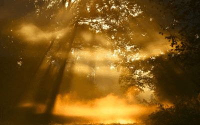 Otvoren foto natječaj “Najljepši prizori Osječko-baranjske županije”