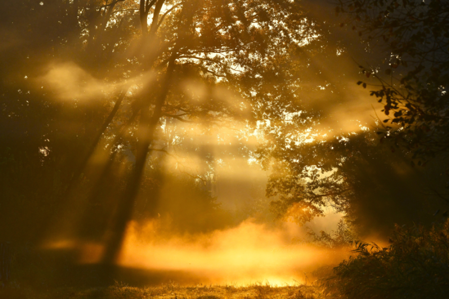 Otvoren foto natječaj “Najljepši prizori Osječko-baranjske županije”