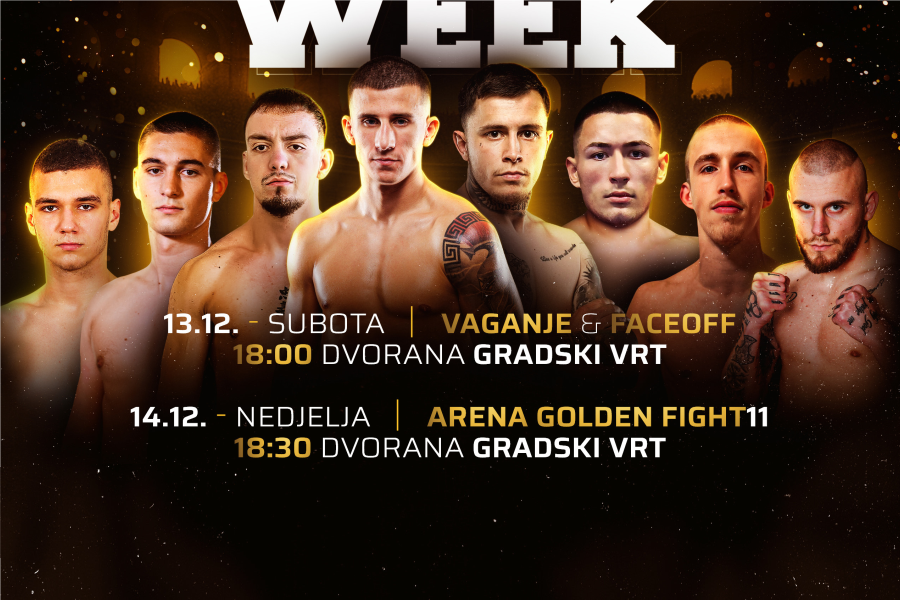 Arena Golden Fight 11