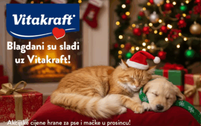 Prosinačka ponuda u Offertissimi donosi odlične popuste na hranu i poslastice za pse i mačke