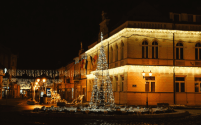 Za Božić redovni raspored odvoza otpada