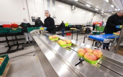 Regionalni distribucijski centar – ključna potpora domaćim proizvođačima voća i povrća