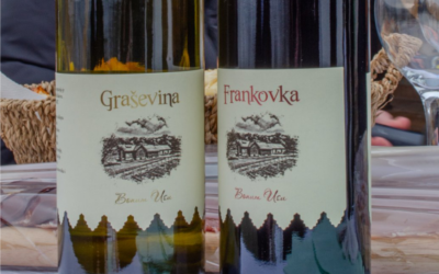 Šampionska titula za graševinu Strukovne škole na Viro-Expu 2026.