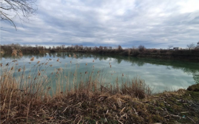 Poziv građanima na veliku radnu akciju čišćenja i uređenja jezera Bajer
