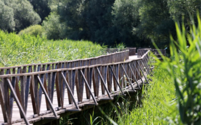 Pokrenut projekt restauracije vodenih ekosustava u Parku prirode Kopački rit vrijedan 8,66 milijuna eura